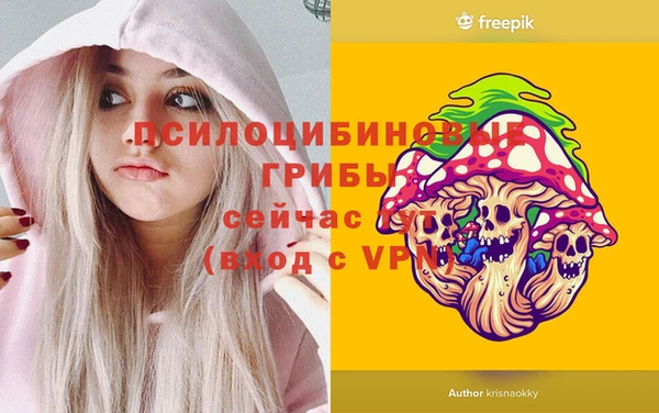винт Бугульма