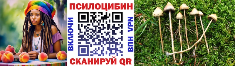 где можно купить   Прокопьевск  Галлюциногенные грибы Psilocybine cubensis 